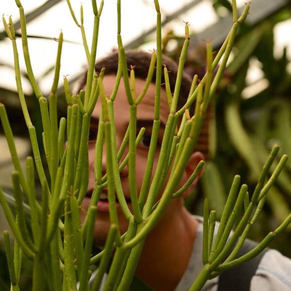 Meet your Posher, Brayden - Picture 1 of 1